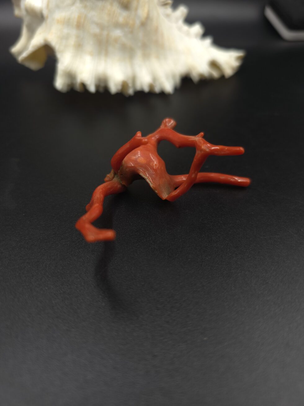 Natural Italian red coral polished branch with organic shape non heated untreated