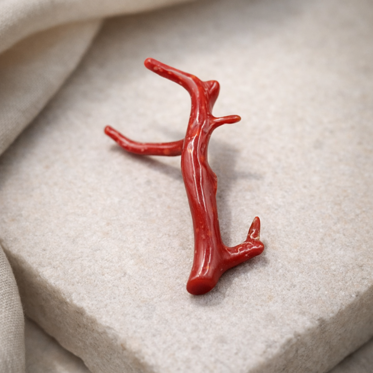 Natural Italian red coral polished branch with deep red color and organic structure