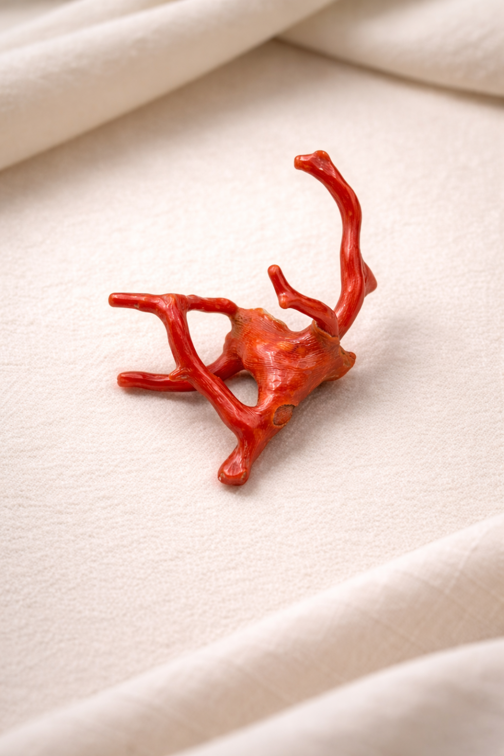 Natural Italian red coral polished branch with organic shape non heated untreated