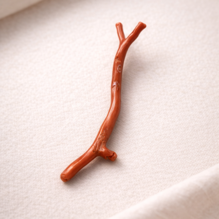 Natural Italian red coral polished branch with organic shape non heated untreated