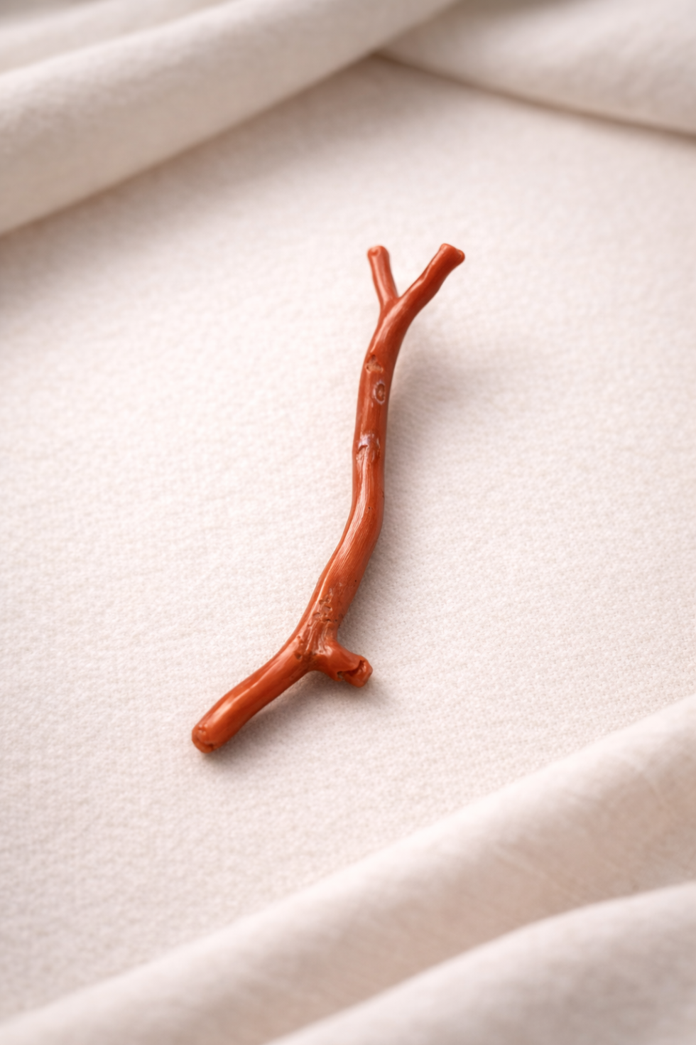 Natural Italian red coral polished branch with organic shape non heated untreated