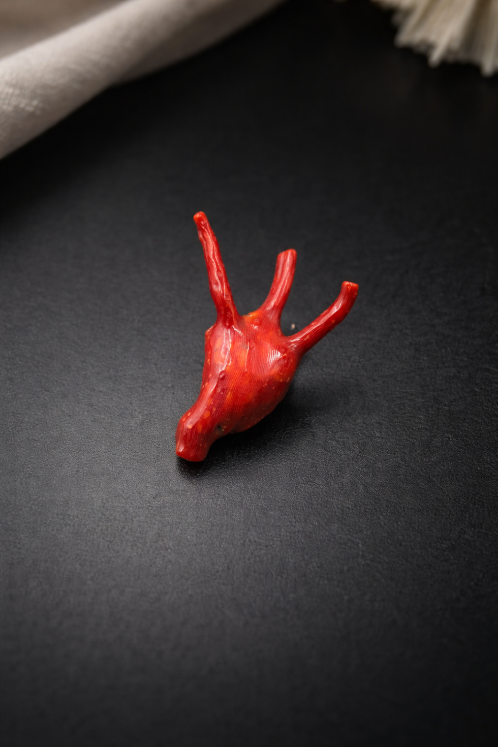 Natural Italian red coral polished branch natural shape non heated untreated