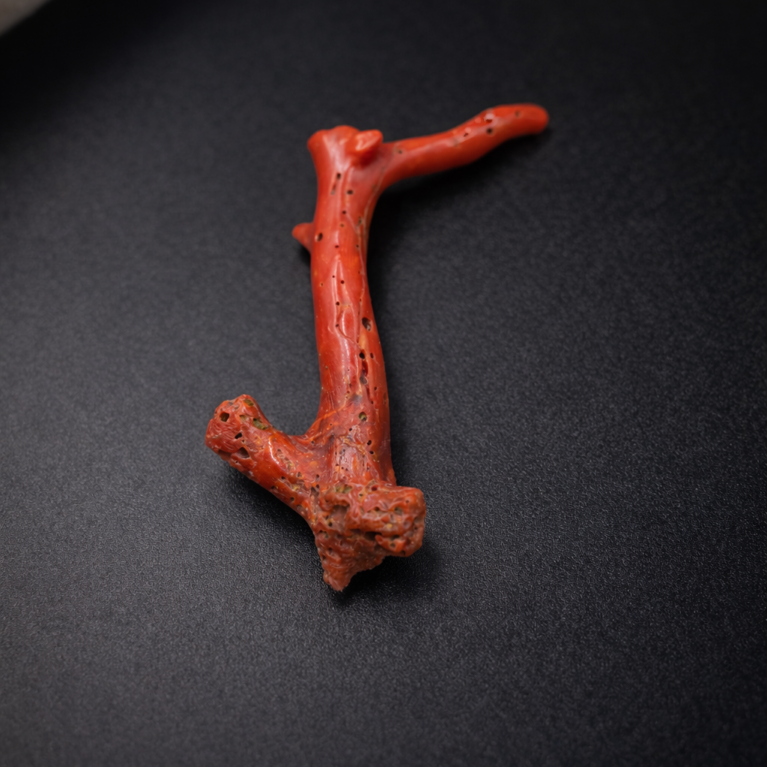 Vintage natural Italian red coral polished branch untreated organic shape