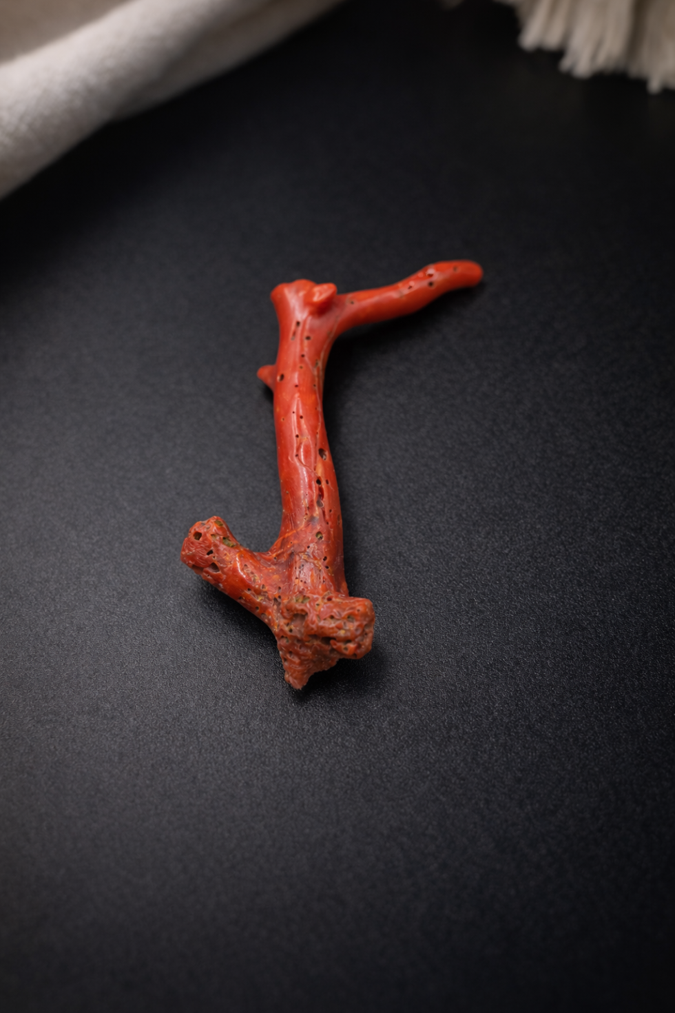 Vintage natural Italian red coral polished branch untreated organic shape