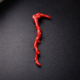 Vintage natural Italian red coral polished branch untreated organic shape