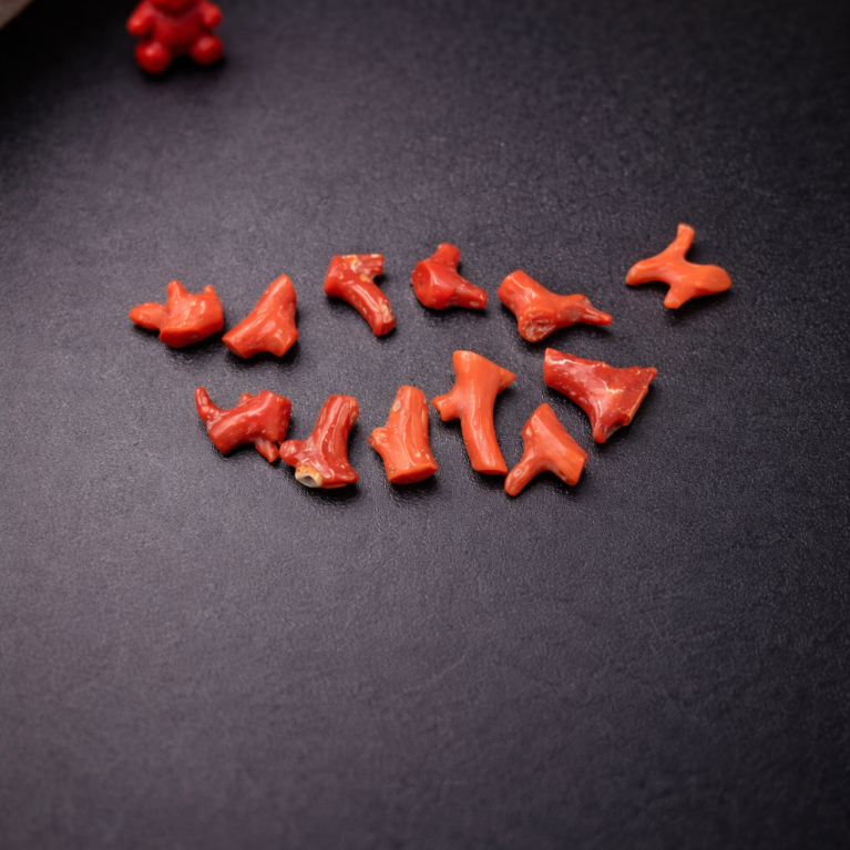 Natural Italian Red Coral Polished Tiny Branches Lot with Vintage Natural Shapes
