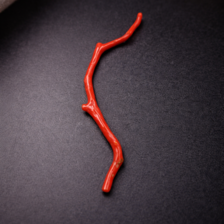 Natural Italian Red Coral Polished Long Branch with Vintage Natural Shape
