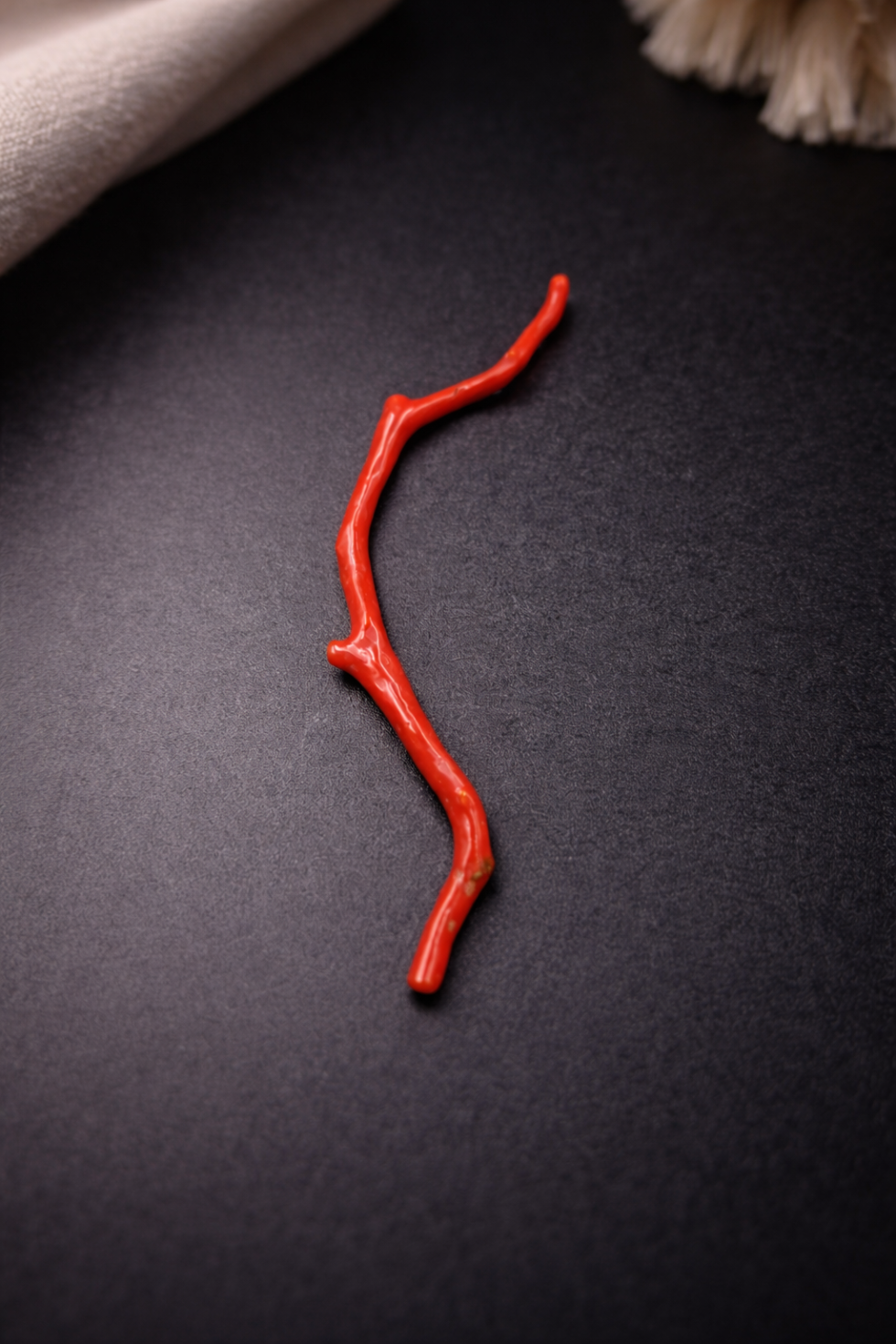 Natural Italian Red Coral Polished Long Branch with Vintage Natural Shape