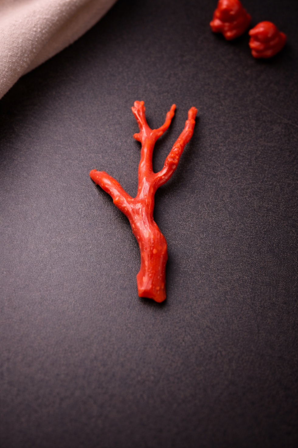 Natural Italian Red Coral Polished Long Branch with Vintage Natural Shape