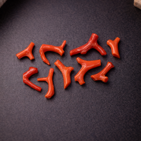 Natural Italian Red Coral Polished Tiny Branches Lot with Vintage Natural Shapes