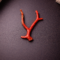 Natural Italian Red Coral Polished Long Branch with Vintage Natural Shape