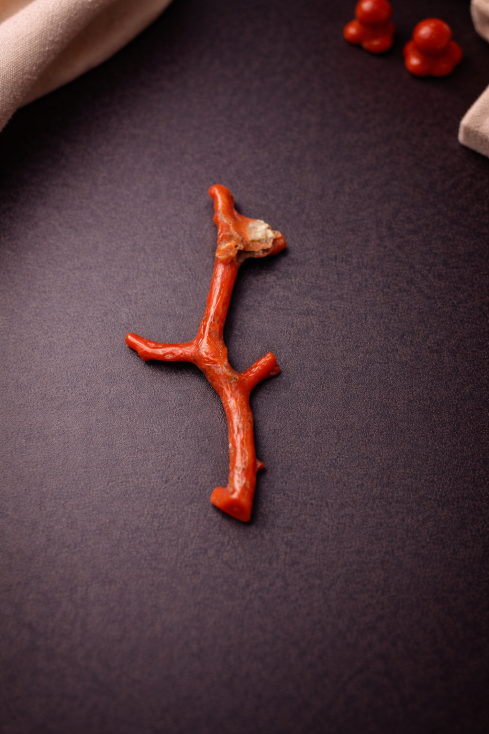 Natural Italian Red Coral Polished Long Branch with Vintage Natural Shape