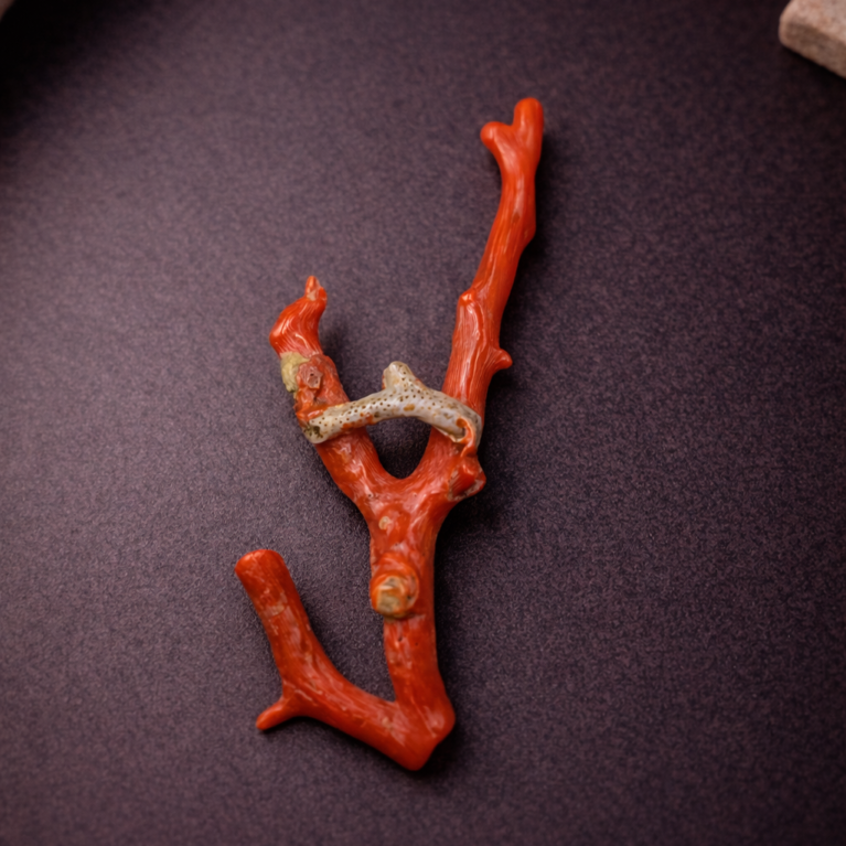 Natural Italian Red Coral Polished Long Branch with Vintage Natural Shape