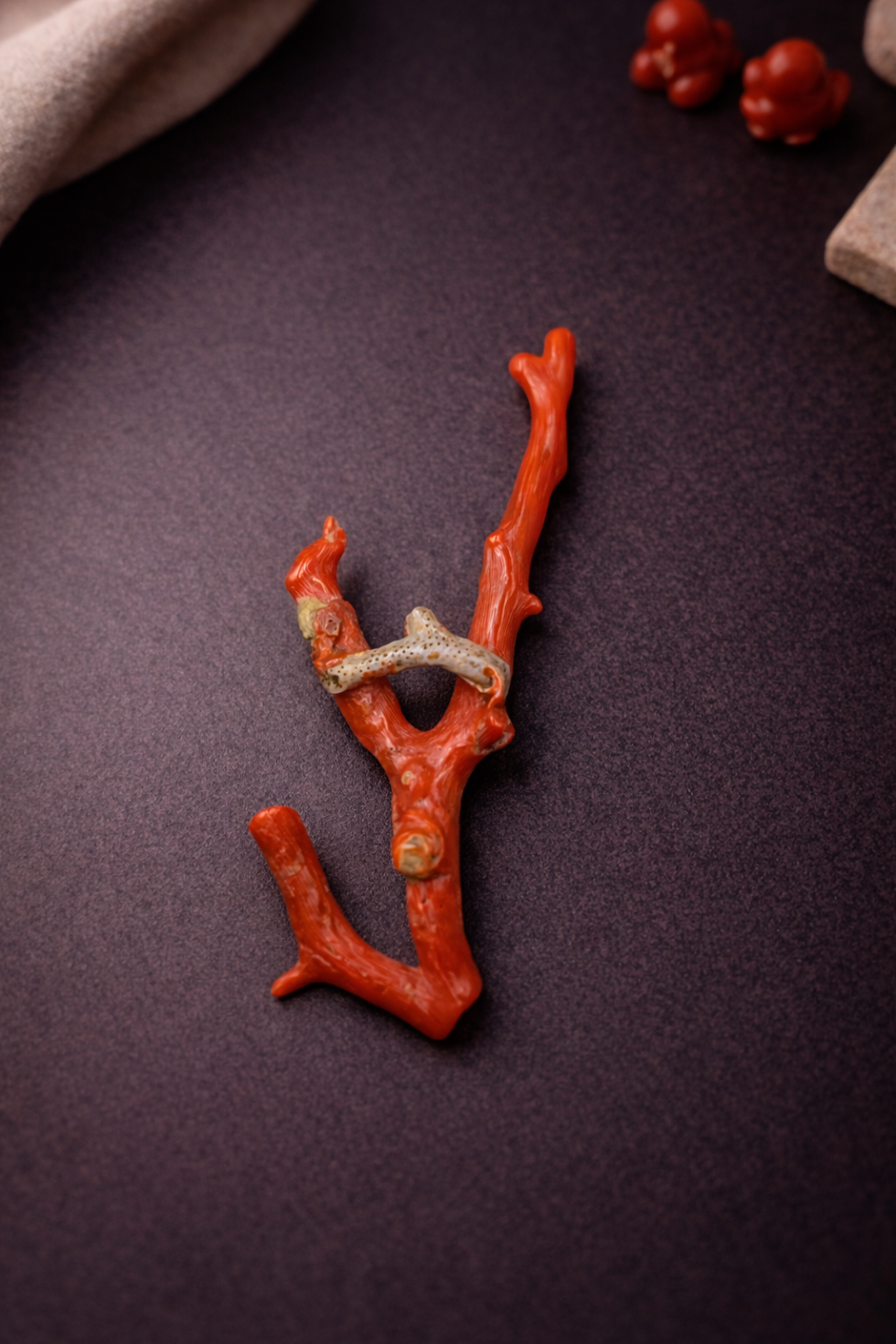 Natural Italian Red Coral Polished Long Branch with Vintage Natural Shape