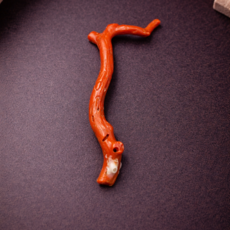 Natural Italian Red Coral Polished Long Branch with Vintage Natural Shape