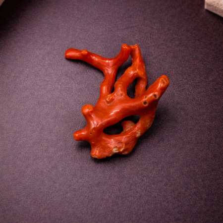 Natural Italian Red Coral Polished Long Branch with Vintage Organic Shape