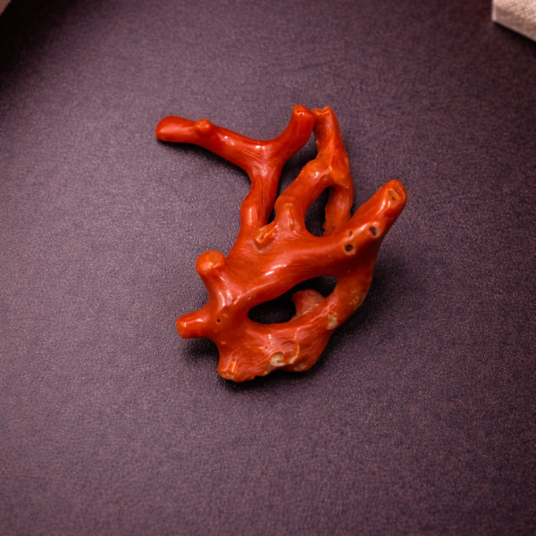 Natural Italian Red Coral Polished Long Branch with Vintage Organic Shape