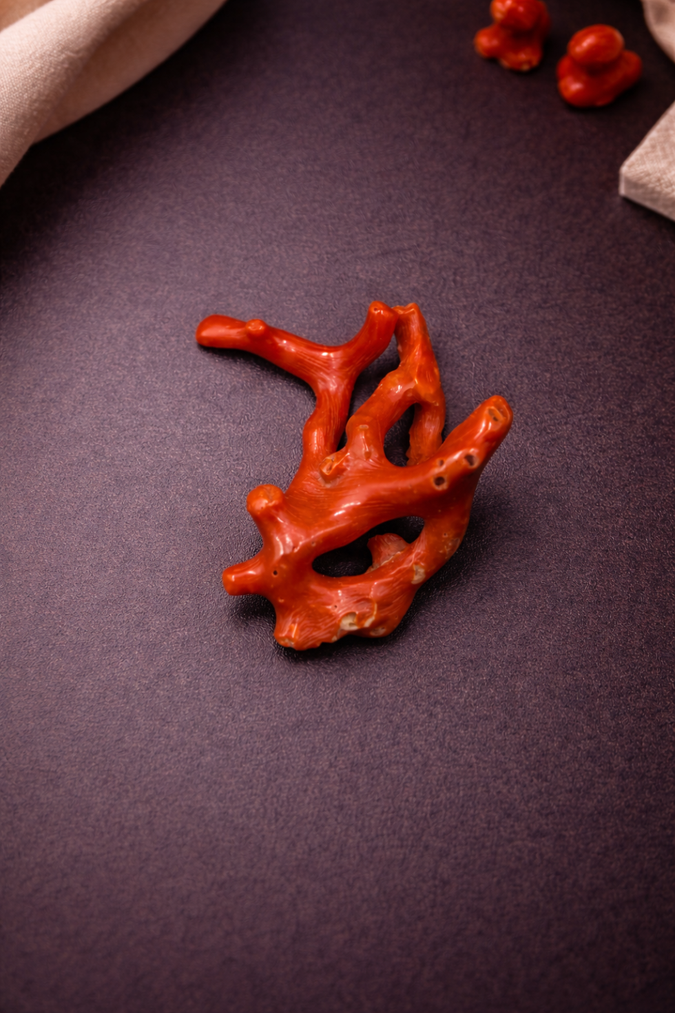 Natural Italian Red Coral Polished Long Branch with Vintage Organic Shape