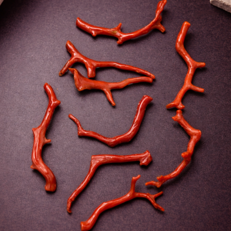 Natural Italian Red Coral Polished Long Branches Lot with Vintage Organic Shapes