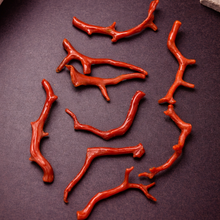 Natural Italian Red Coral Polished Long Branches Lot with Vintage Organic Shapes