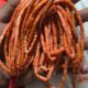 Natural italian pink coral