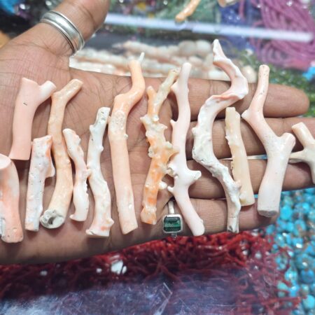 Natural pink coral branches lot
