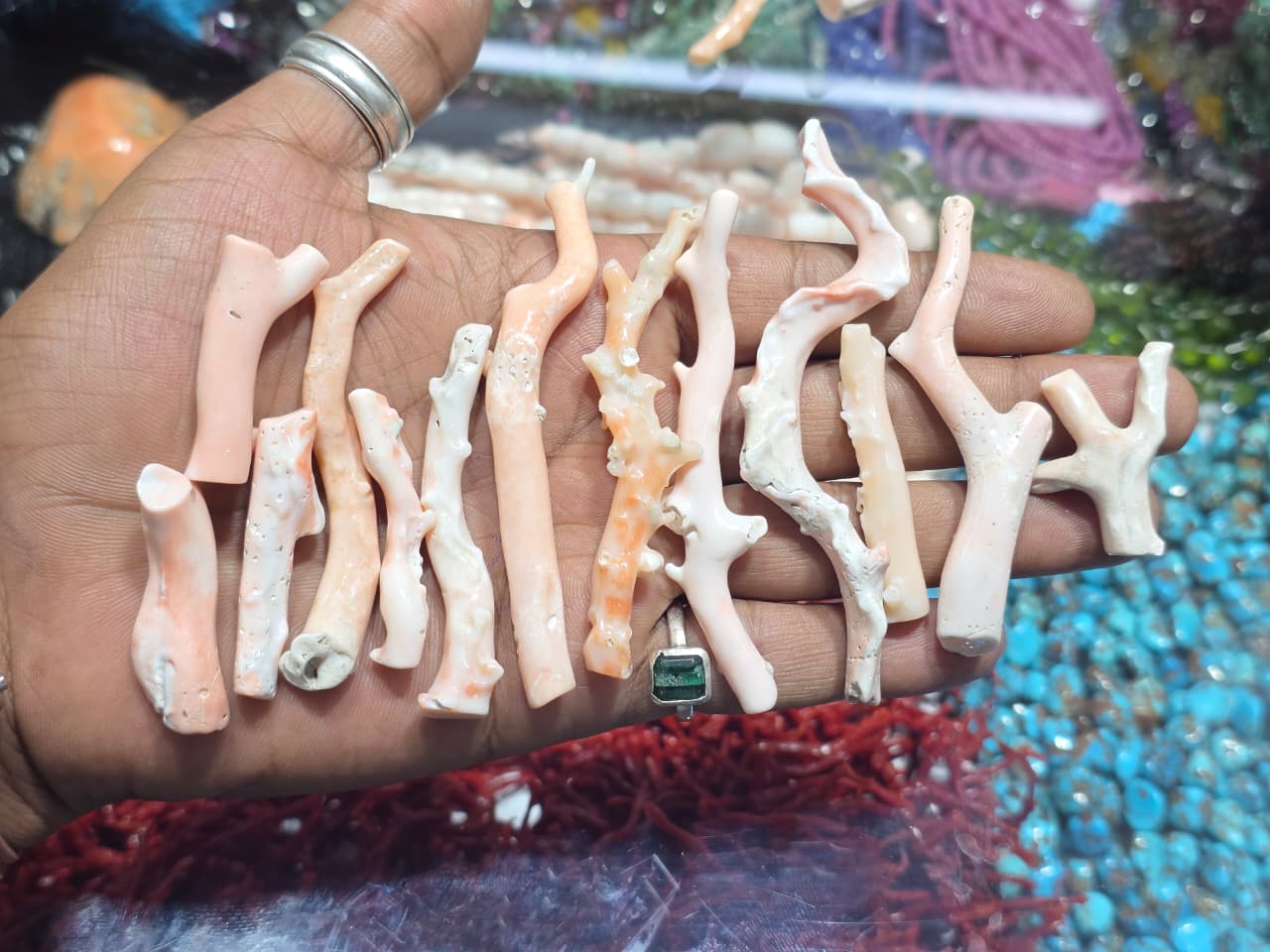 Natural pink coral branches lot